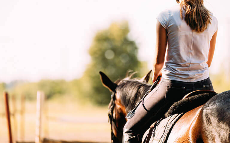 Agrifournitures.fr fourni du matériel pour les métiers de l'équitation