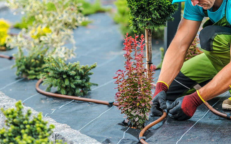 Les métiers des espaces vert et de l'urbanisme sont disponibles sur agrifournitures