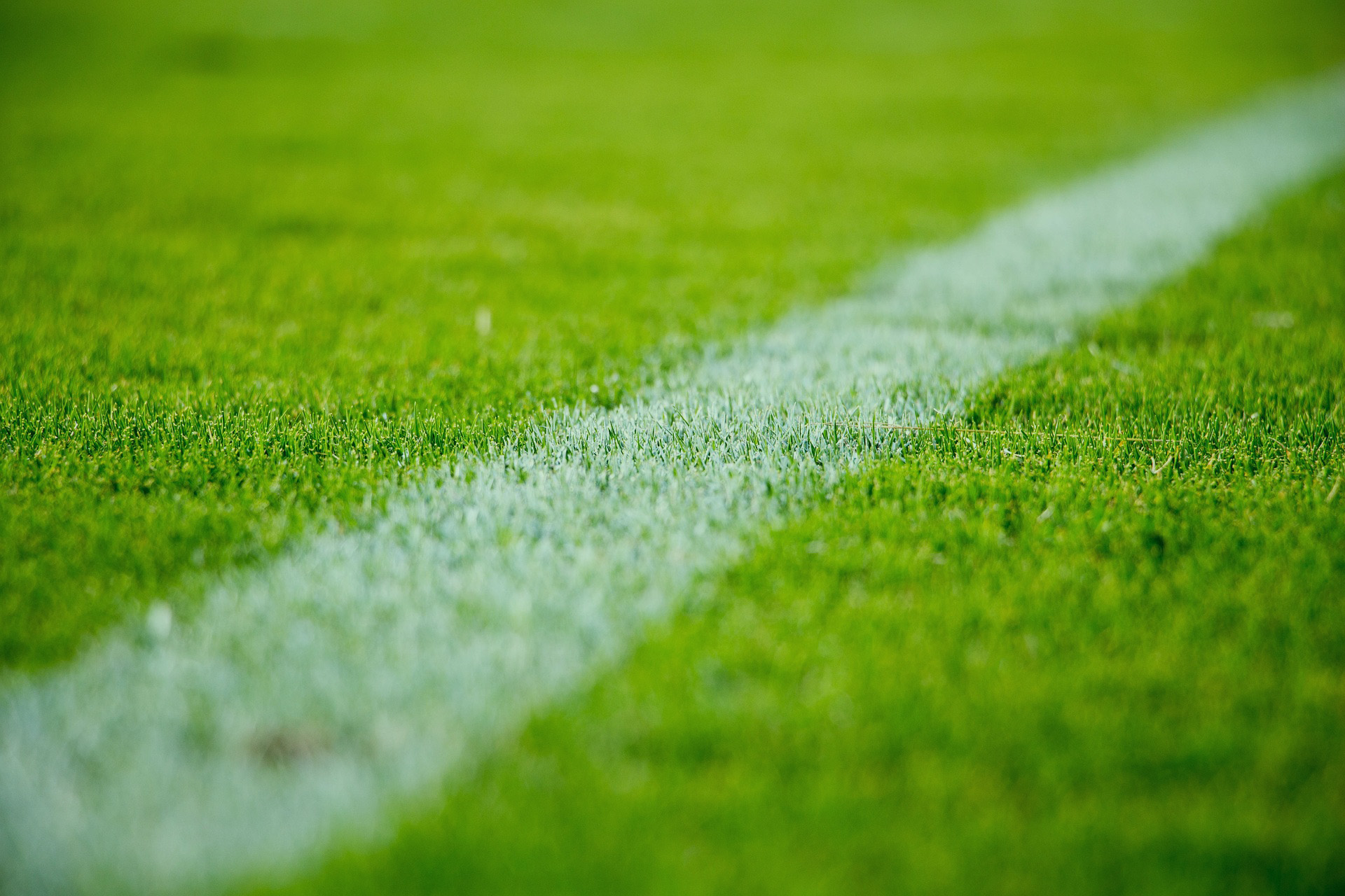 Les gazon sportifs se peignent avec la peinture blanche de surelignes